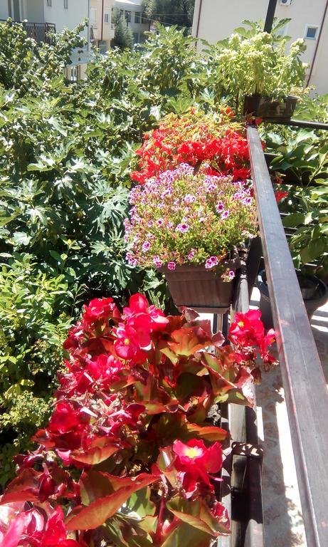 Filip Apartments Ohrid Kültér fotó